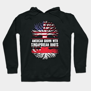 American Grown with Singaporean Roots USA Flag Hoodie